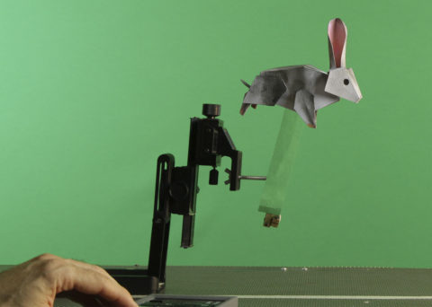 Animating rabbit